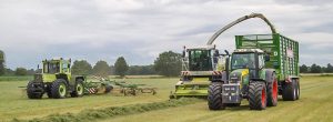 Gras hächseln Lohnunternehmen Zöller Süstedt