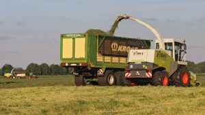 Lohnunternehmen Werner Zöller - Gras häckseln